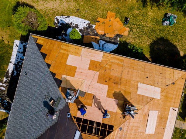 Best Storm Damage Roof Repair  in Franklin Park, IL